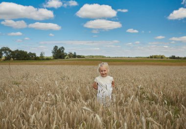 Buğday tarlasında 4 yaşında tatlı bir çocuk.