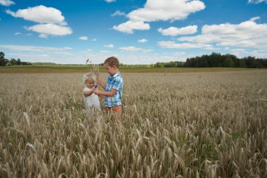 Buğday tarlasında tatlı çocuklar
