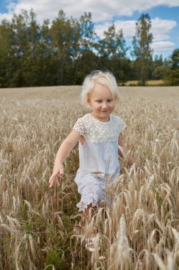 Buğday tarlasında 4 yaşında tatlı bir çocuk.