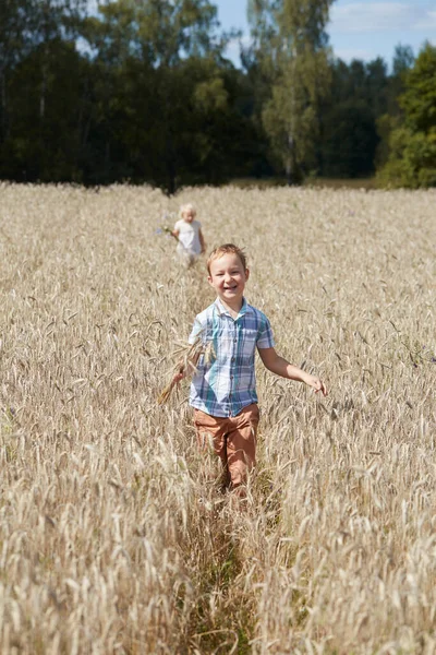 Милые Дети Пшеничном Поле — стоковое фото