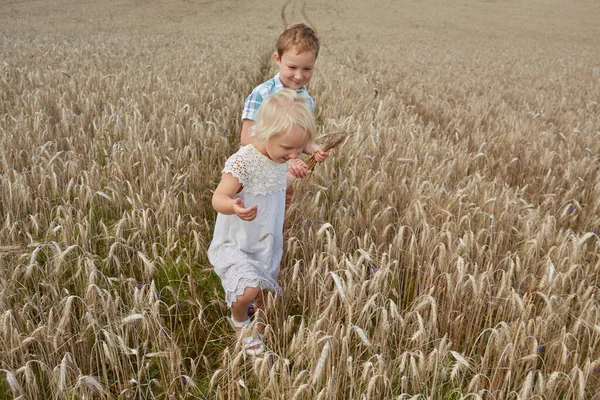 Niedliche Kinder Einem Weizenfeld — Stockfoto