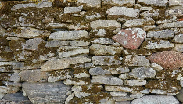 Musgo Creciendo Pared Piedra — Foto de Stock