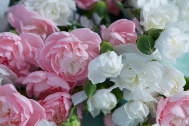 Turkuaz ahşap yüzeyde güzel karanfiller