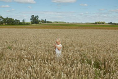 Buğday tarlasında 4 yaşında tatlı bir çocuk.
