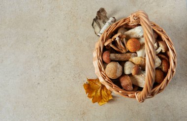 Orman mantarlarıyla dolu ahşap hasır.