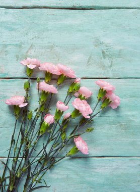 Turkuaz ahşap yüzeyde güzel karanfiller