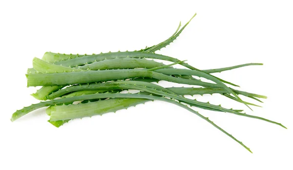 Morceaux Plante Aloès Isolés Sur Blanc — Photo