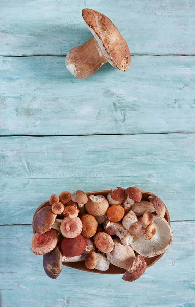 Forest Mushrooms Wooden Surface — Stock Photo, Image