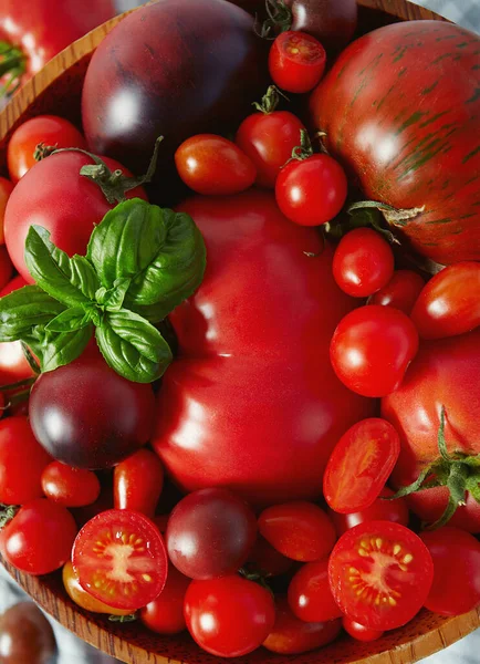 Vers Tomatenassortiment Close — Stockfoto