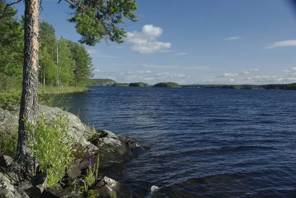 Prachtige Landschap Van Karelië Aard Van Rusland — Stockfoto