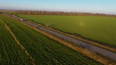 Navlun yarı kamyon mal meşgul karayolu üzerinde ülke genelinde güzel yaz akşamında taşıma yukarıda uçan yüksek. Sürüş ve altın günbatımında meşgul otobanda hız Rating