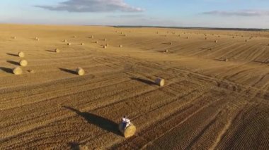 Hasat sahada çalışan insanlar sevgi dolu birkaç. Arkadan iki çekici sevgili görünüşü. Hasır şapka kız s başından düşüyor. İnsanlar birlikte eğleniyor. Yaz romantik akşam.