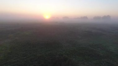 Güzel hava görünümünü yol araba sürüş ile sabah alanları güneş doğarken sis ile kaplı. Ukrayna