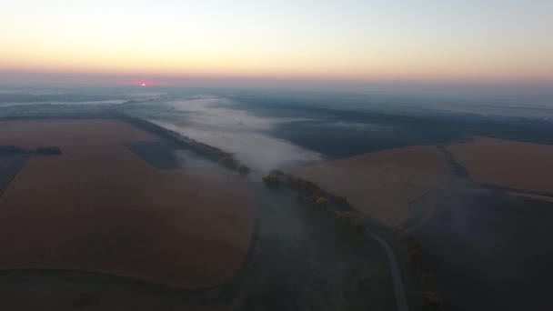 Vackra Flygfoto av vägen med bil, morgon fält täckt med dimma vid soluppgången. Ukraina — Stockvideo