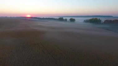 Güzel hava görünümünü yol araba sürüş ile sabah alanları kaplı sis ile güneş doğarken.