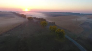 Güzel hava görünümünü yol araba sürüş ile sabah alanları güneş doğarken sis ile kaplı. Ukrayna