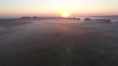 Güzel hava görünümünü yol araba sürüş ile sabah alanları güneş doğarken sis ile kaplı. Ukrayna