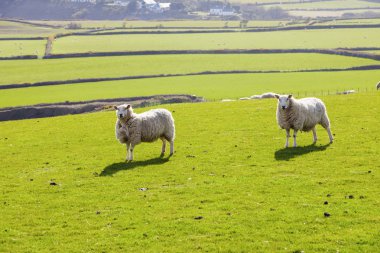 Bahar panorama, Isle of Man Isle of Man.