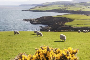 Bahar panorama, Isle of Man Isle of Man.