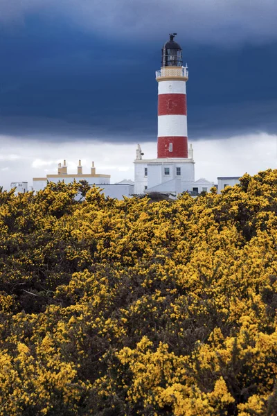 Point Phare Ayre Sur Île Man Douglas Île Man — Photo