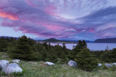 Gros Morne Milli Parkı Newfoundland '. St John's, Newfoundland ve Labrador, Kanada.