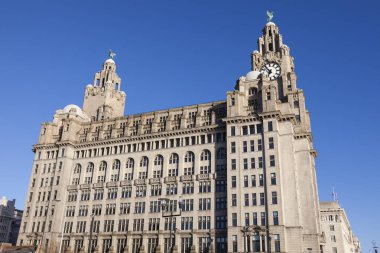 Royal Liver Building Liverpool, Kuzey Batı İngiltere, Polonya.
