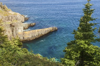 Newfoundland shore. Newfoundland ve Labrador, Kanada.