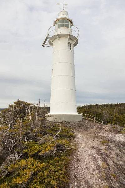 国王湾头灯塔 纽芬兰和拉布拉多 加拿大 — 图库照片
