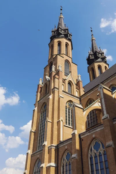 Kutsal Bakire Meryem Radom Korunması Katedrali Radom Mazovia Polonya — Stok fotoğraf