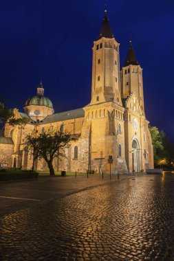Gece Plock Katedrali'nde. Plock, Masovia, Polonya.