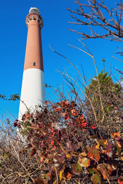 Barnegat Maják New Jersey Long Beach Island New Jersey Usa — Stock fotografie