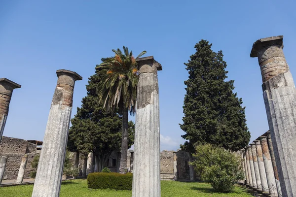 Des Ruines Pompéi Printemps Pompéi Campanie Italie — Photo