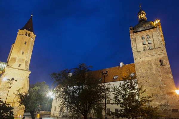 Plock Catedral Castillo Por Noche Reloj Masovia Polonia —  Fotos de Stock