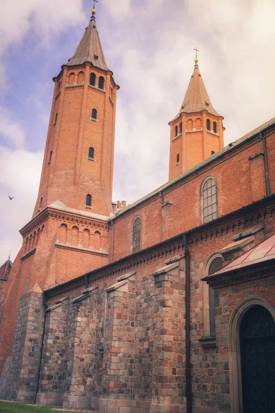 Catedral Plock Vista Por Mañana Reloj Masovia Polonia —  Fotos de Stock