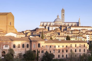 Siena Katedrali'nin Siena. Siena, Toskana, İtalya