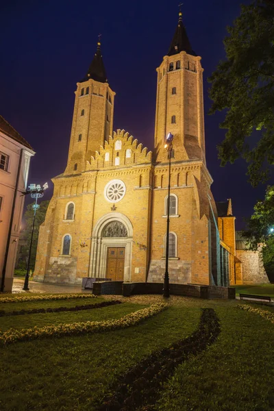 Plock Catedral Por Noche Reloj Masovia Polonia — Foto de Stock