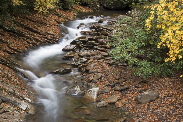 Park Narodowy Great Smoky Mountains Podczas Upadku Tennessee Stany Zjednoczone — Zdjęcie stockowe