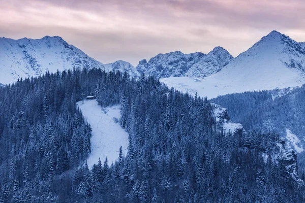 Zimowa Panorama Zakopanego Zakopane Małopolskie Polska — Zdjęcie stockowe