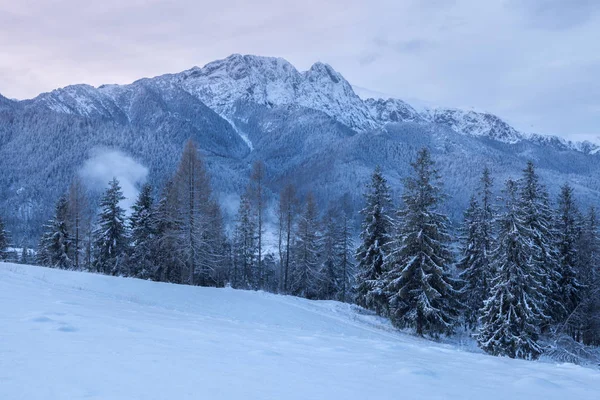 Panorama Inverno Zakopane Com Giewont Zakopane Polônia Menor Polônia — Fotografia de Stock