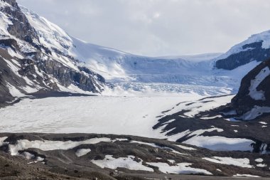 Athabasca buzul Kanada Rocky Dağları içinde. Alberta, Kanada.
