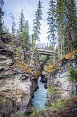 Athabasca Falls Jasper Milli Parkı'nda. Alberta, Kanada.