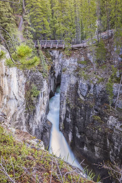 ジャスパー国立公園 アルバータ カナダのサンワプタ フォールズ アルバータ州 カナダ — ストック写真