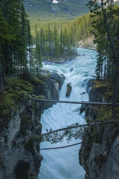 Sunwapta Falls Jasper National Park Alberta Kanada Alberta Kanada — Stok fotoğraf