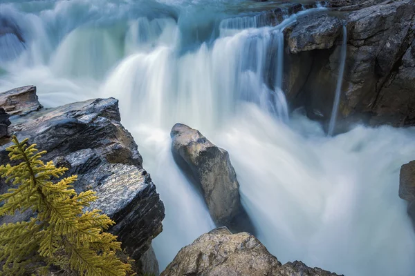 加拿大艾伯塔省贾斯珀国家公园的 Sunwapta Falls 加拿大阿尔伯塔省 — 图库照片