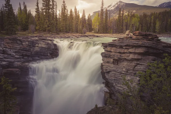 Athabasca Falls Regionie Park Narodowy Jasper Alberta Kanada — Zdjęcie stockowe