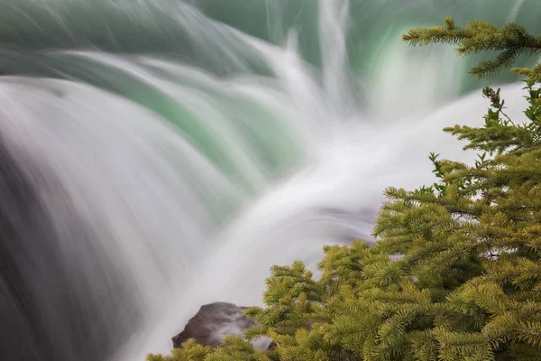 Водопад Атабаска Национальном Парке Джаспер Альберта Канада — стоковое фото