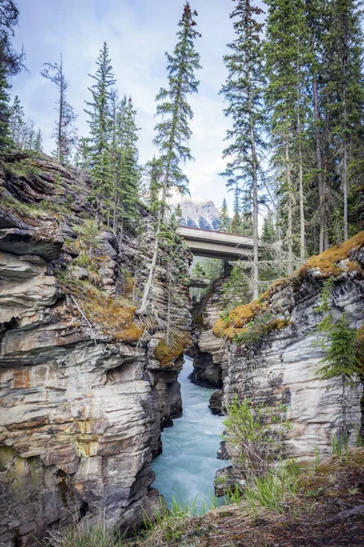 Athabasca Falls Nel Jasper National Park Alberta Canada — Foto Stock
