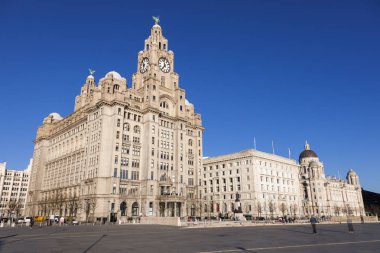 Kraliyet karaciğer ve Liverpool Liverpool liman binada. Liverpool, Kuzey Batı İngiltere, İngiltere.