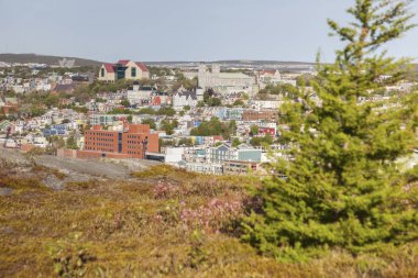 St. John 's Panorama, Newfoundland' da. St. John 's, Newfoundland ve Labrador, Kanada.