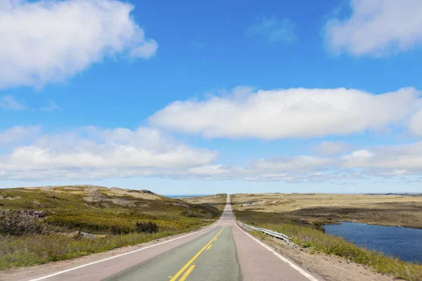 Bir Yerde Newfoundland John Newfoundland Labrador Kanada — Stok fotoğraf